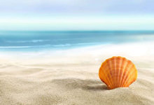 拜仁慕尼黑遗憾止步，欧冠夺冠希望渺茫