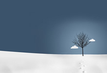 皇家马德里战胜山东鲁能迈向亚冠冠军之路